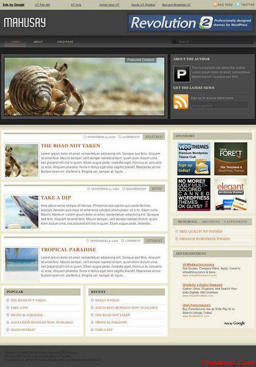 Wordpress Mahusay Magazin Teması