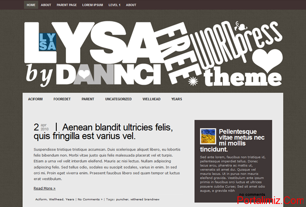 Lysa WordPress Tema ekran görüntüsü