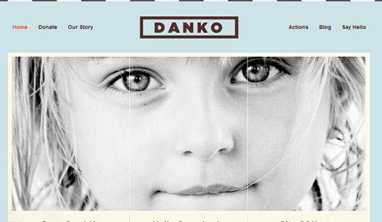Danko WordPress Tema ekran görüntüsü